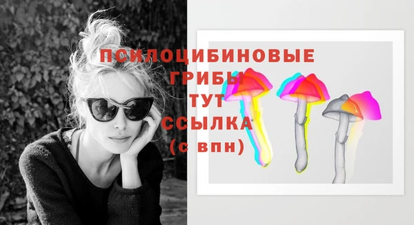 индика Алексеевка