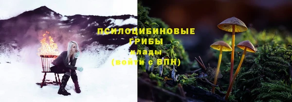 скорость Алзамай