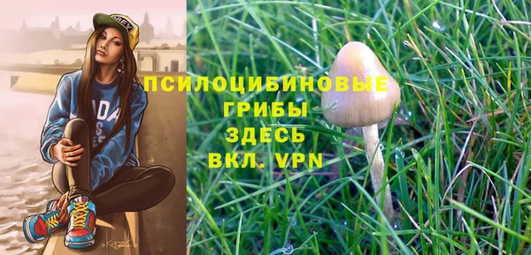 прущий лед Алексин