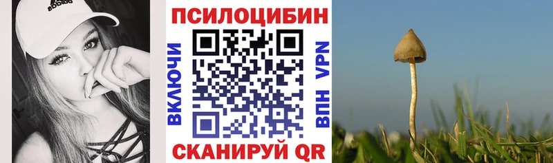 купить закладку  нарко площадка как зайти  Псилоцибиновые грибы прущие грибы  Кольчугино  MEGA ссылки 